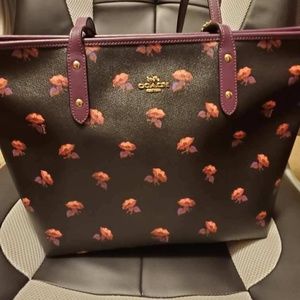 Coach x Snow White Villain collection